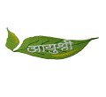 Aayushree Ayurvedic - Polyclinic & Panchakarma Centre